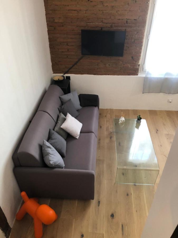 Charmant Studio De 20M2 En Hypercentre De Toulouse Dış mekan fotoğraf