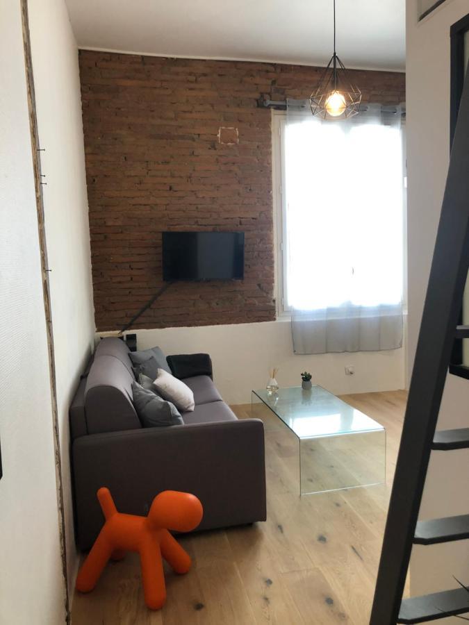 Charmant Studio De 20M2 En Hypercentre De Toulouse Dış mekan fotoğraf